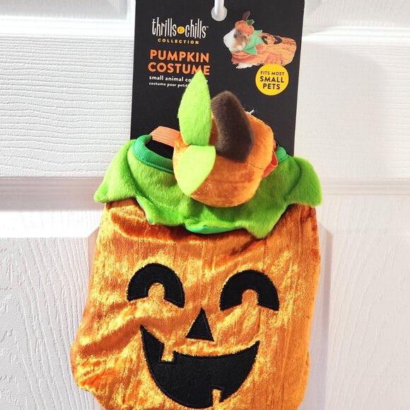 PetSmart, Thrills & Chills, Small Animal Pumpkin Costume *NEW* - Picture 1 of 2